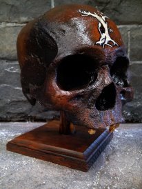 Australian Shadows Award 2013